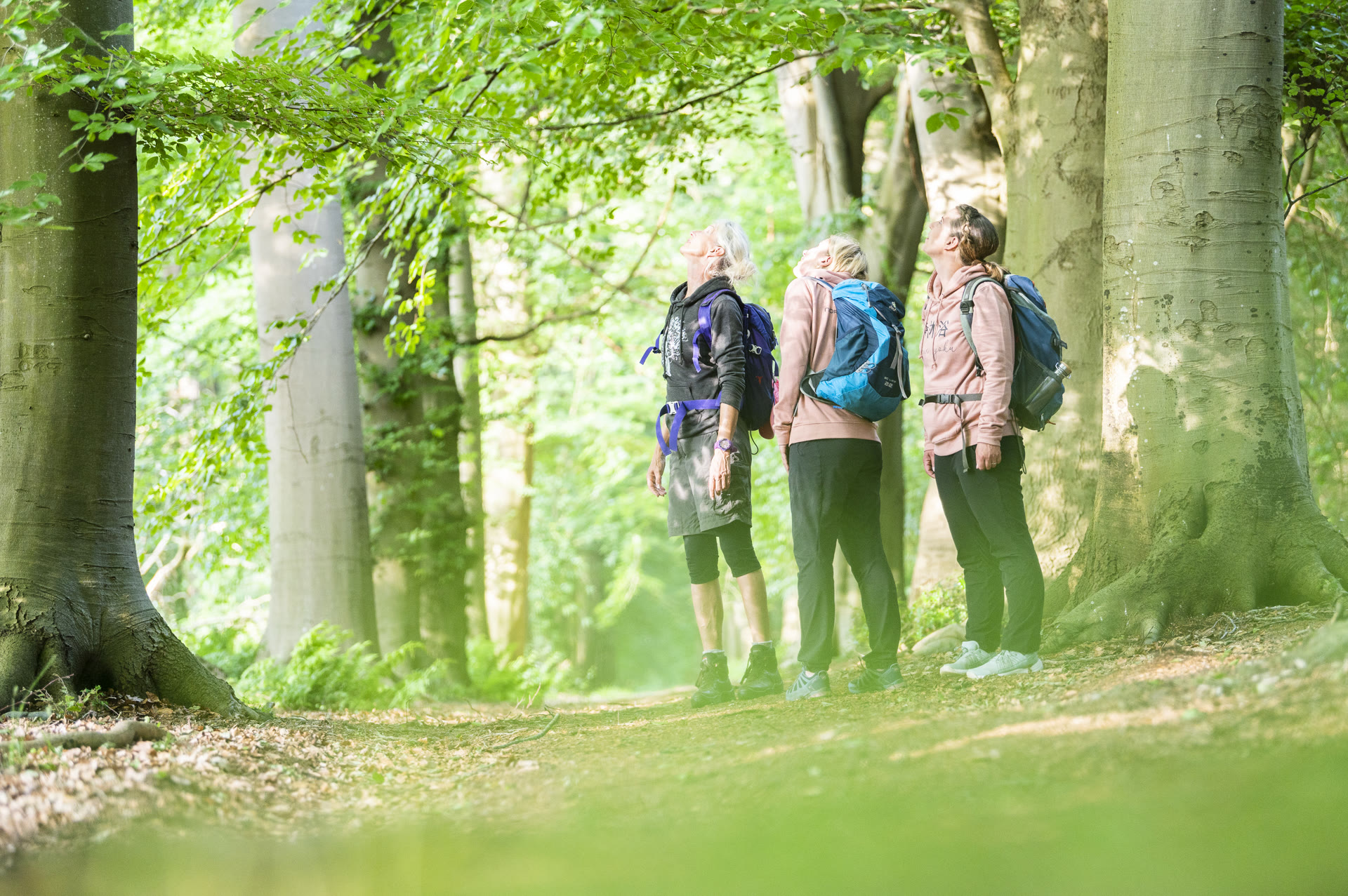 Drei Frauen wandern im Wald